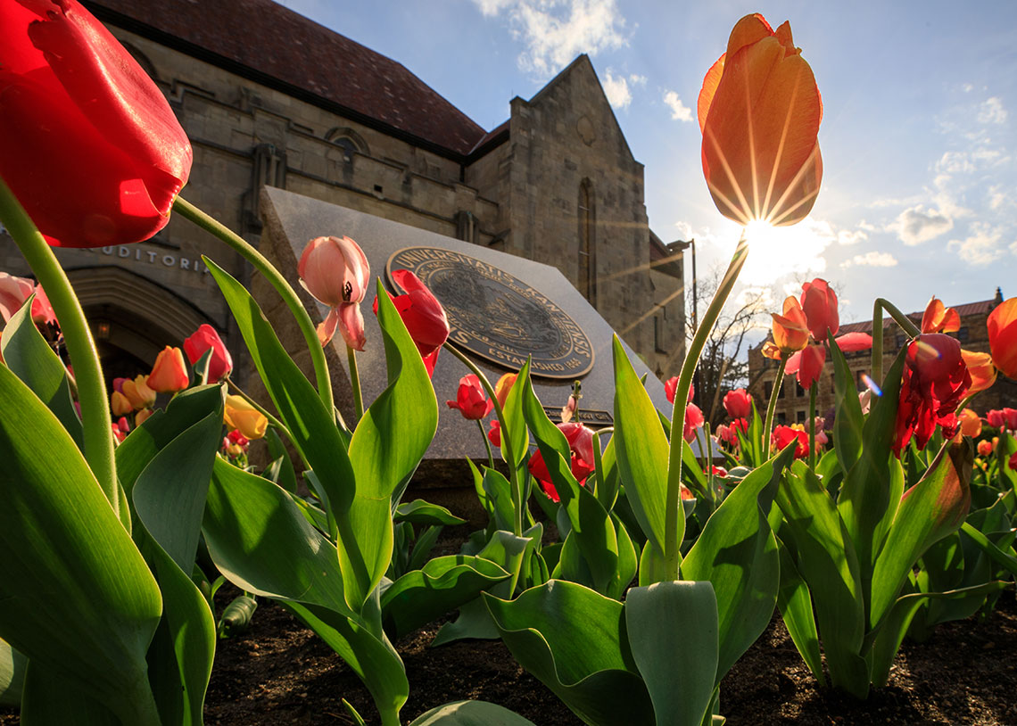 Tulips in bloom in front of Hoch Auditoria with the University Seal