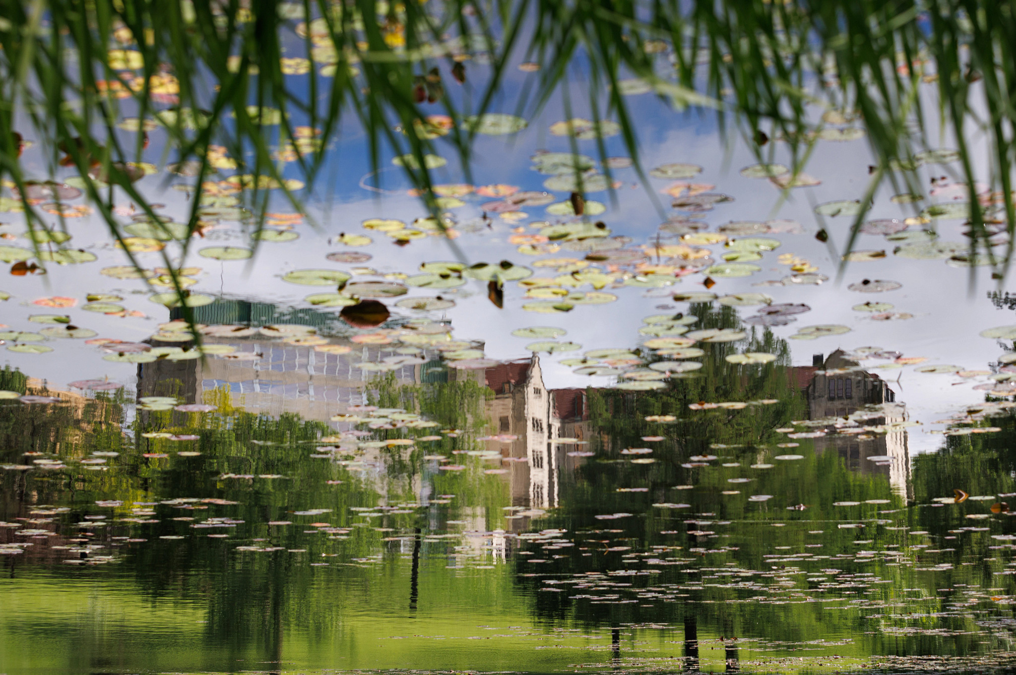 reflection of buildings in potter's lake